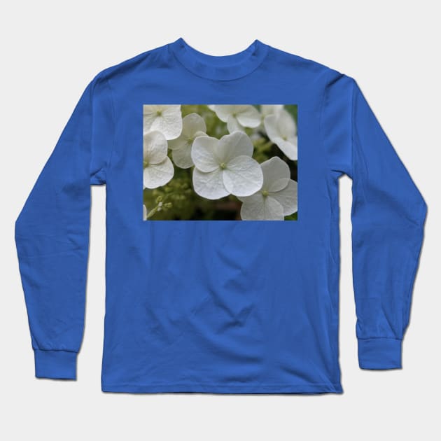 Delicate White Tree Flowers Long Sleeve T-Shirt by AustaArt